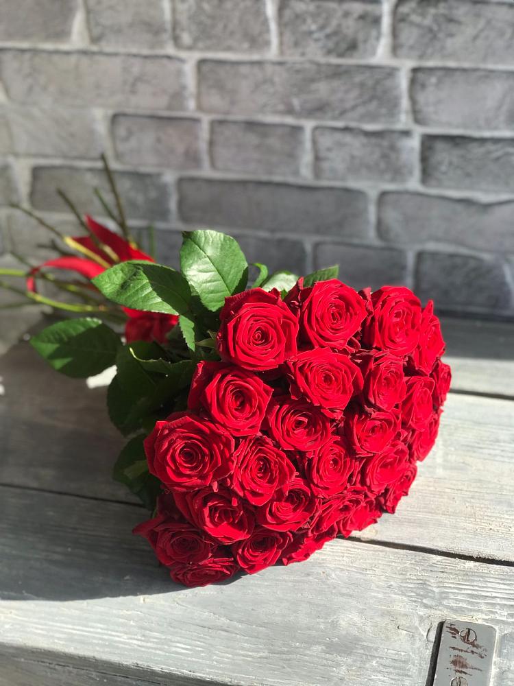 Букет Красные розы Фридом в Поведниках