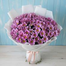 Букет цветов из:  Хризантемы в Поведниках