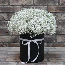 Цветочная композиция из Гипсофила в шляпной коробке в Поведниках