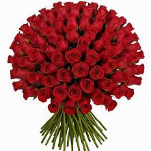Букет Красные розы Чери Лав в Поведниках