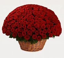 Премиум букет из: Розы в Поведниках